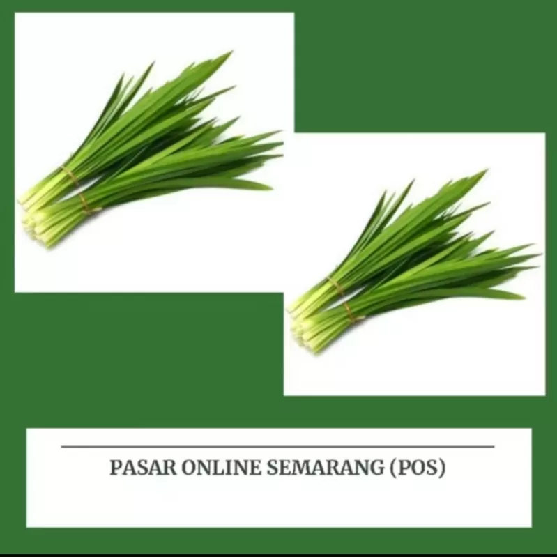 Pandan